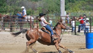 Barrel Racing